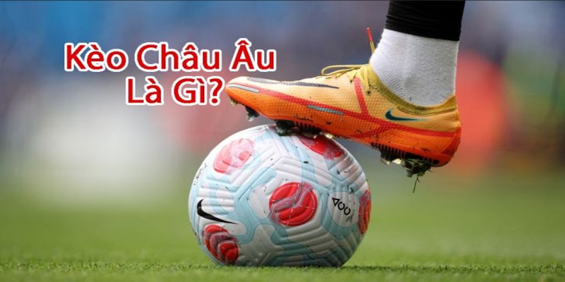 Giới thiệu về kèo châu Âu tổng quan 